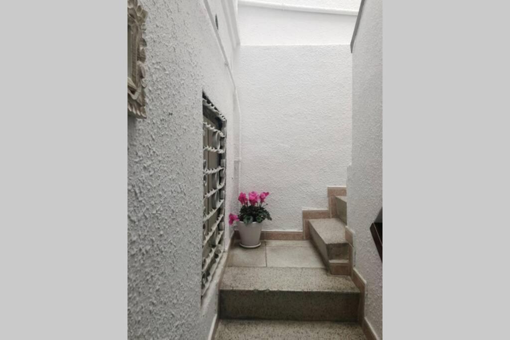 M5 Cool Terrace. Metro 1 Min. Center 15' By Metro Apartment Esplugues de Llobregat Ngoại thất bức ảnh
